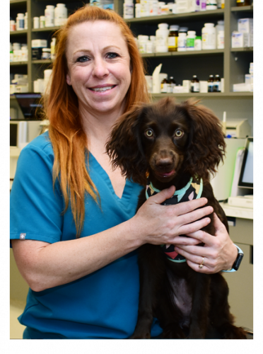 About Us - Dallas Animal Urgent Care | Same Day Emergency and Urgent