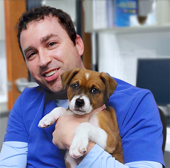 Dr. Tyler Foreman