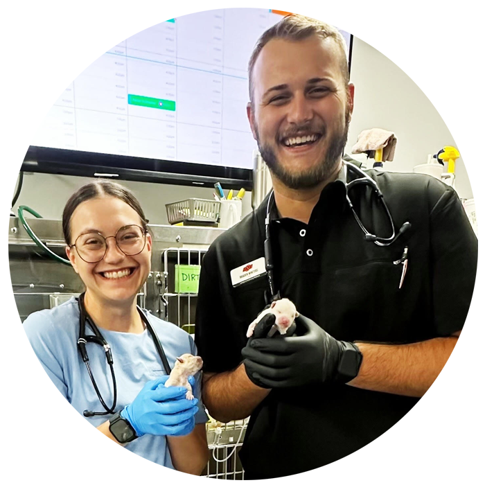 externship_in_dallas