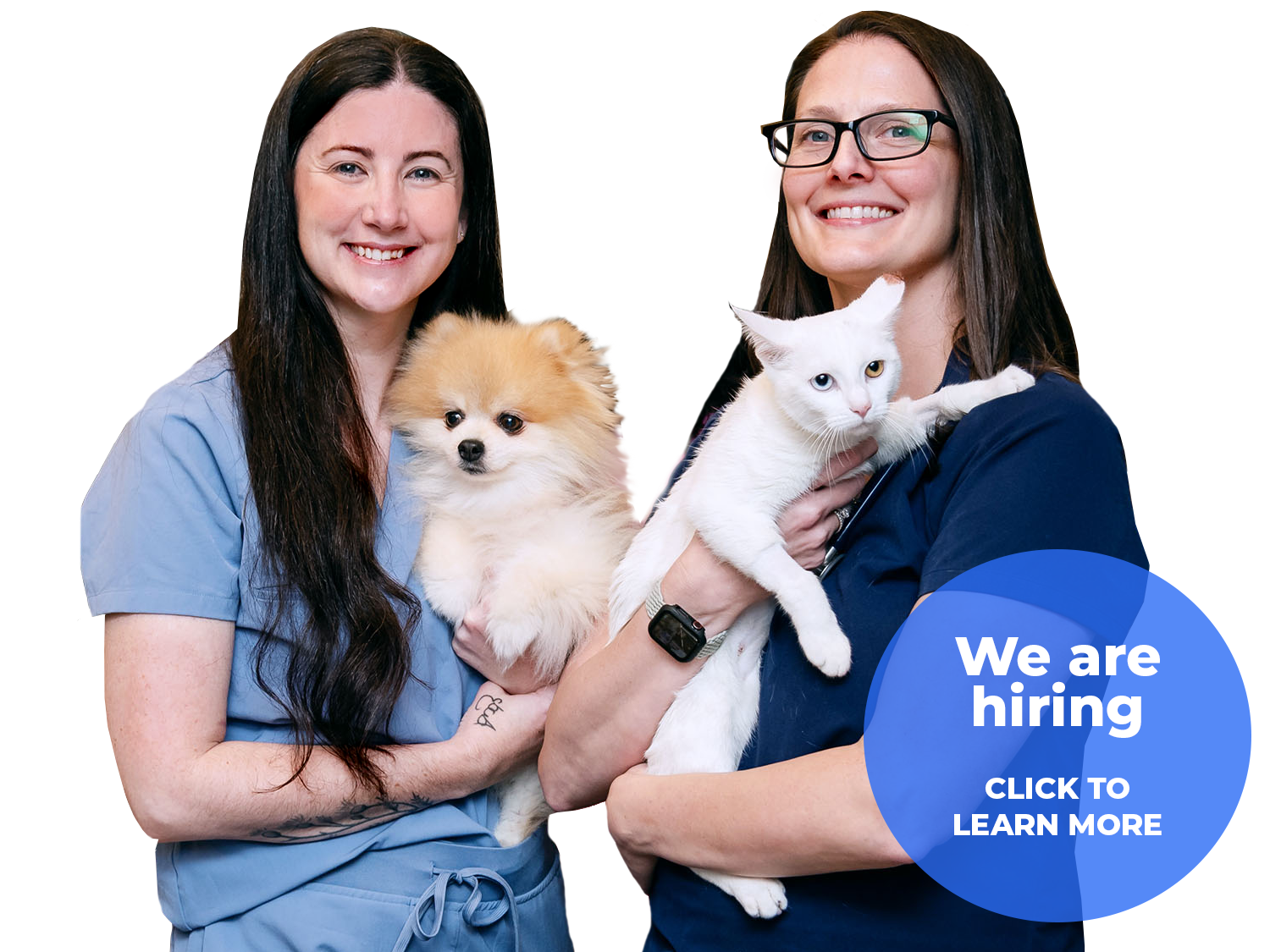 Dallas Animal Urgent Care Emergency Pet Care in Dallas and Euless